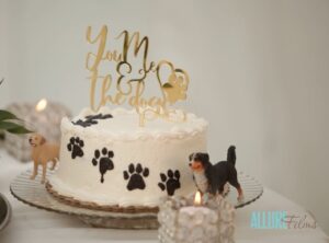 Bellevue Hall Wedding Cake